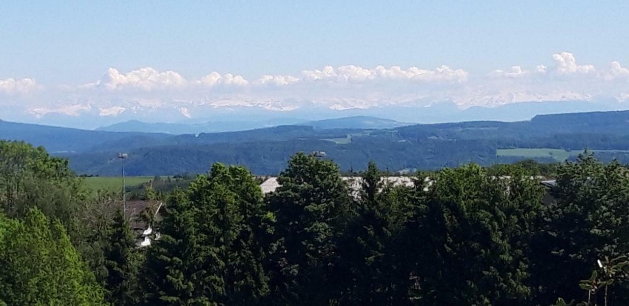 Landhotel Panoramablick Gorwihl Luaran gambar